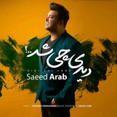  آهنگ جدید سعید عرب دیدی چی شد