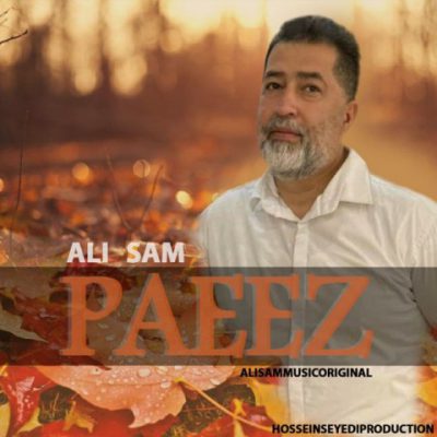 آهنگ جدید علی سام پاییز
