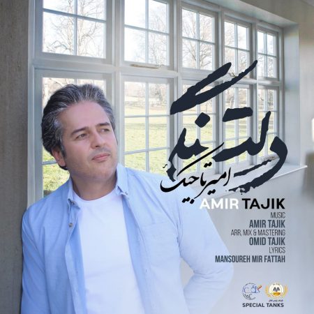 آهنگ جدید امیر تاجیک دلتنگی